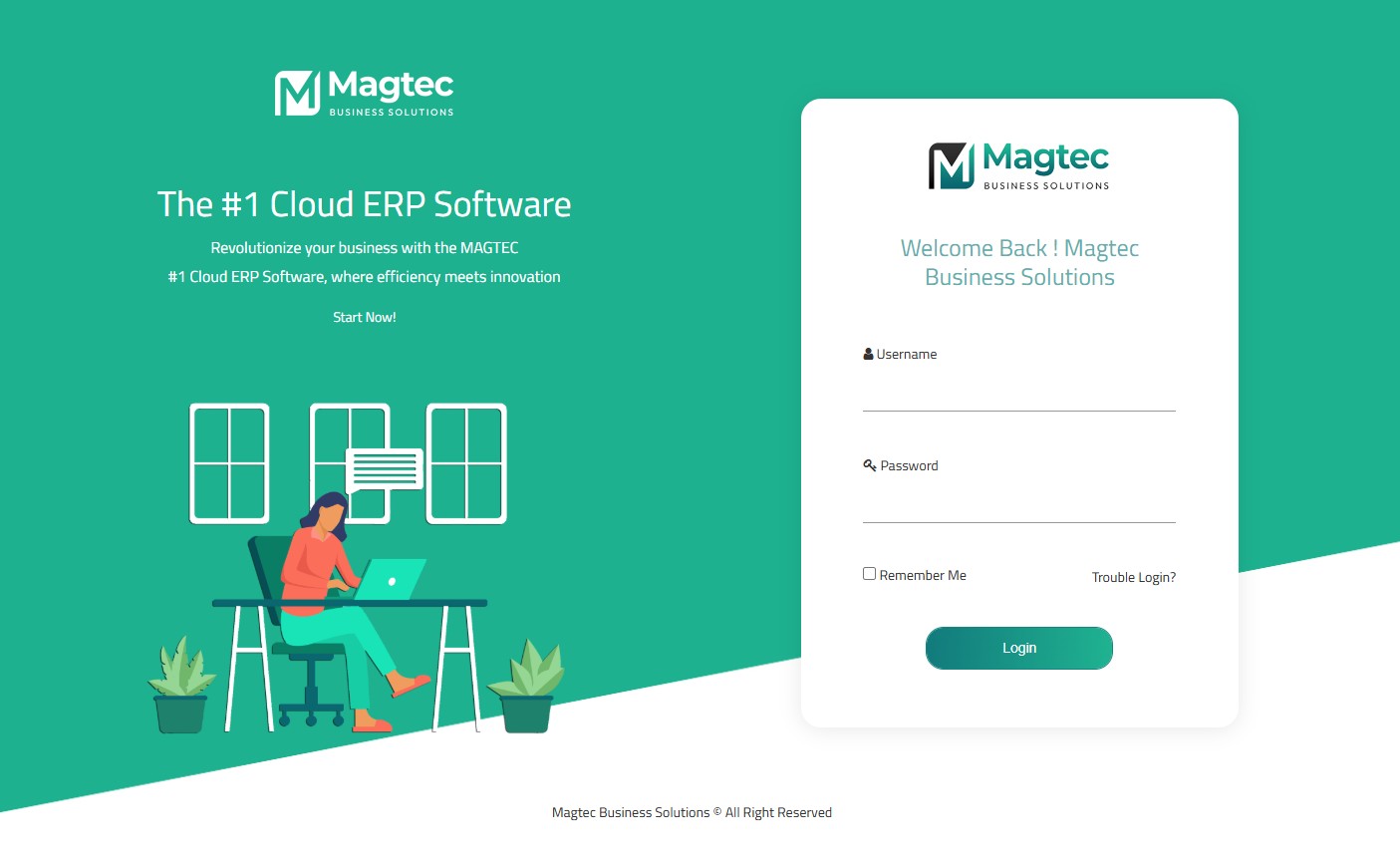 Magtec ERP background